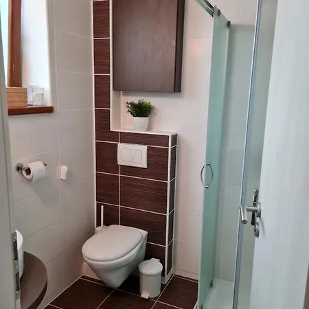 Max - Whirlpool & Bazen & Sauna * Velké Losiny