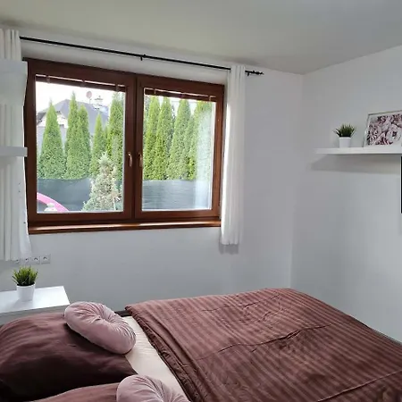 Max - Whirlpool & Bazen & Sauna Holiday home Velke Losiny