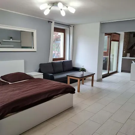 Max - Whirlpool & Bazen & Sauna Holiday home